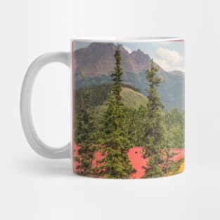 USA. Alaska. Denali National Park. Lodging. Mug